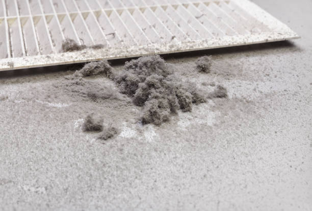 Air Duct Mold Removal in Mukilteo, WA