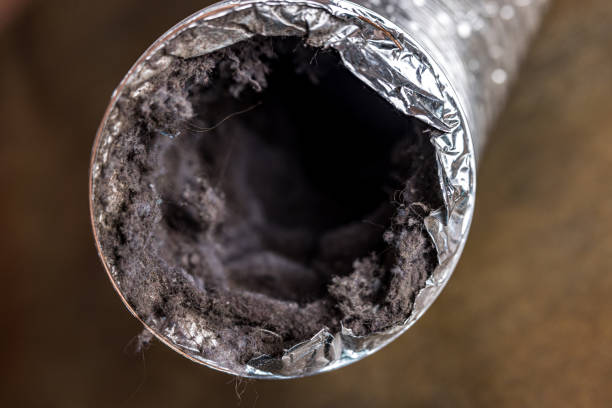 Best Air Duct Cleaning Near Me  in Mukilteo, WA