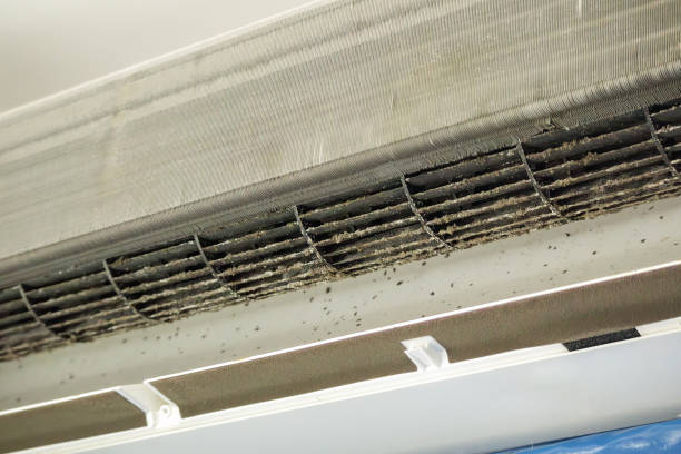 Best Best Air Duct Cleaning Company  in Mukilteo, WA